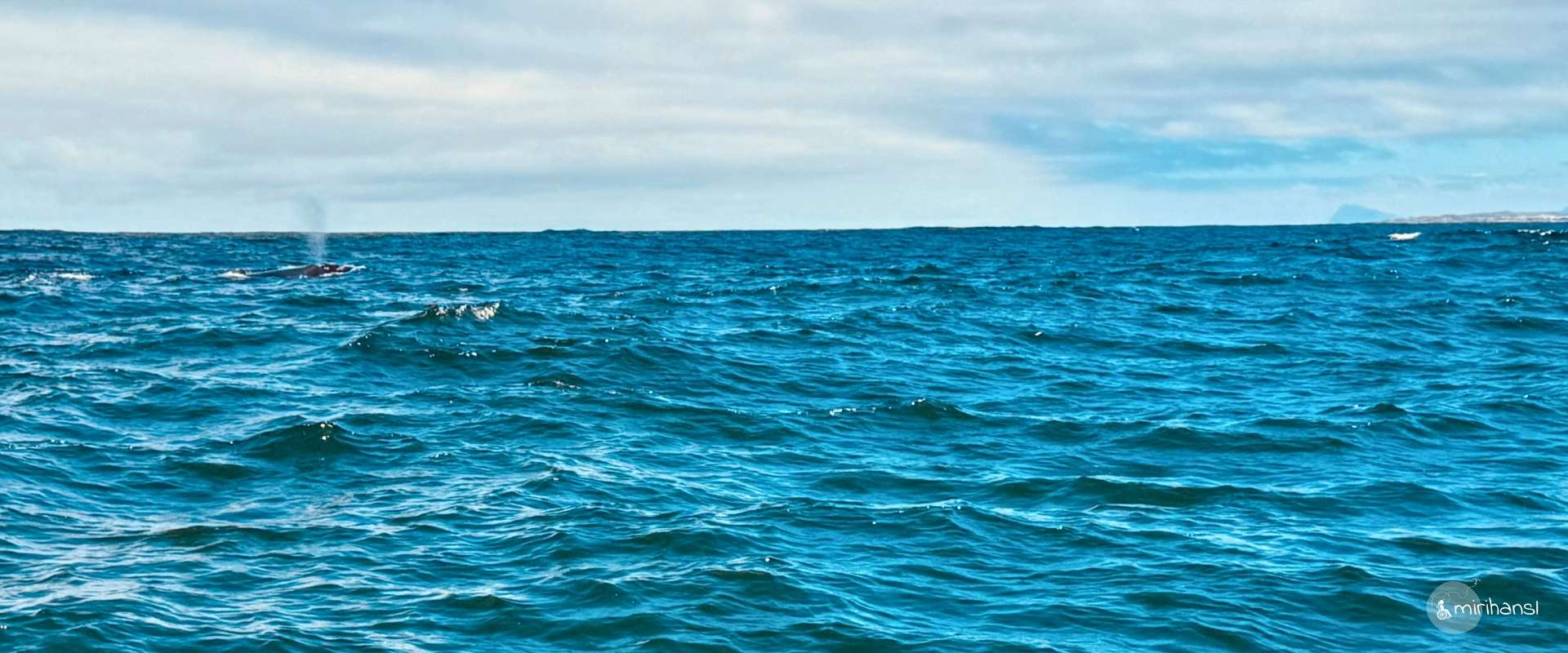 Südafrika - Airbnb Wonderview in Hermanus - Walewatching war erfolgreich Und wir haben eine Wal Familie gesehen Panorama Südafrika - Airbnb Wonderview in Hermanus - Walewatching war erfolgreich Und wir haben eine Wal Familie gesehen Panorama