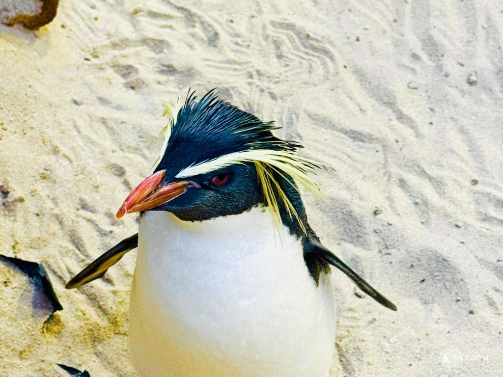 Südafrika - Kapstadt - Aquarium Kapstadt Südafrika - Kapstadt - Aquarium Kapstadt