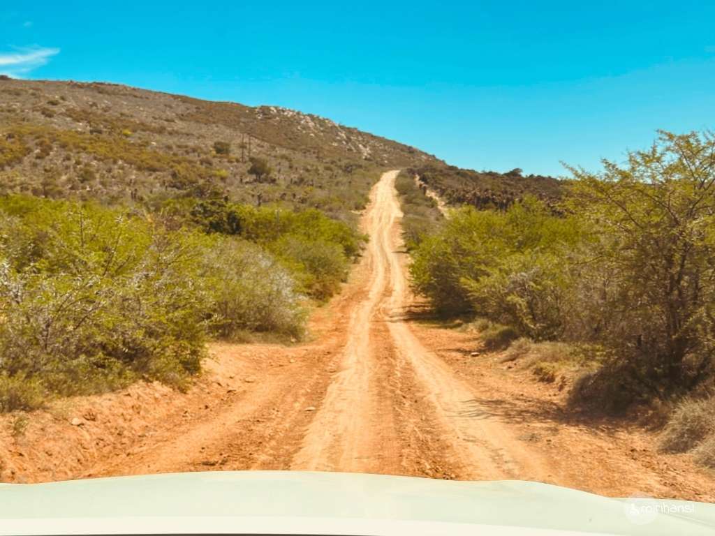 Südafrika - Safari in der Kuzuko Lodge im Addo Elephant Nationalpark - Autofahrt über unbefestigte Straßen zur Lodge Südafrika - Safari in der Kuzuko Lodge im Addo Elephant Nationalpark - Autofahrt über unbefestigte Straßen zur Lodge