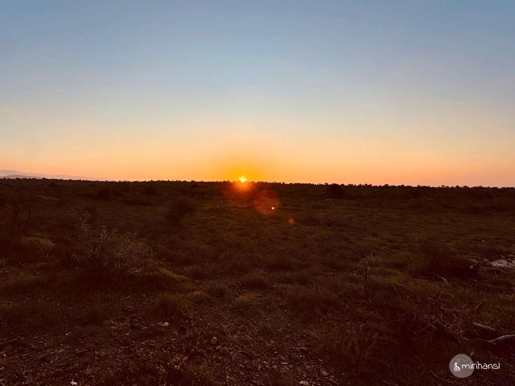 Südafrika - Safari in der Kuzuko Lodge im Addo Elephant Nationalpark - Sonnenuntergang Auf Safari Südafrika - Safari in der Kuzuko Lodge im Addo Elephant Nationalpark - Sonnenuntergang Auf Safari