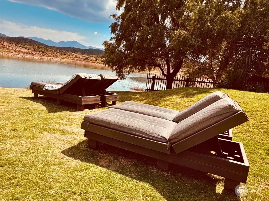 Südafrika - in der Buffelsdrift Game Lodge in Oudtshoorn - Hochwertige Liegen am Pool mit Blick auf den See Südafrika - in der Buffelsdrift Game Lodge in Oudtshoorn - Hochwertige Liegen am Pool mit Blick auf den See