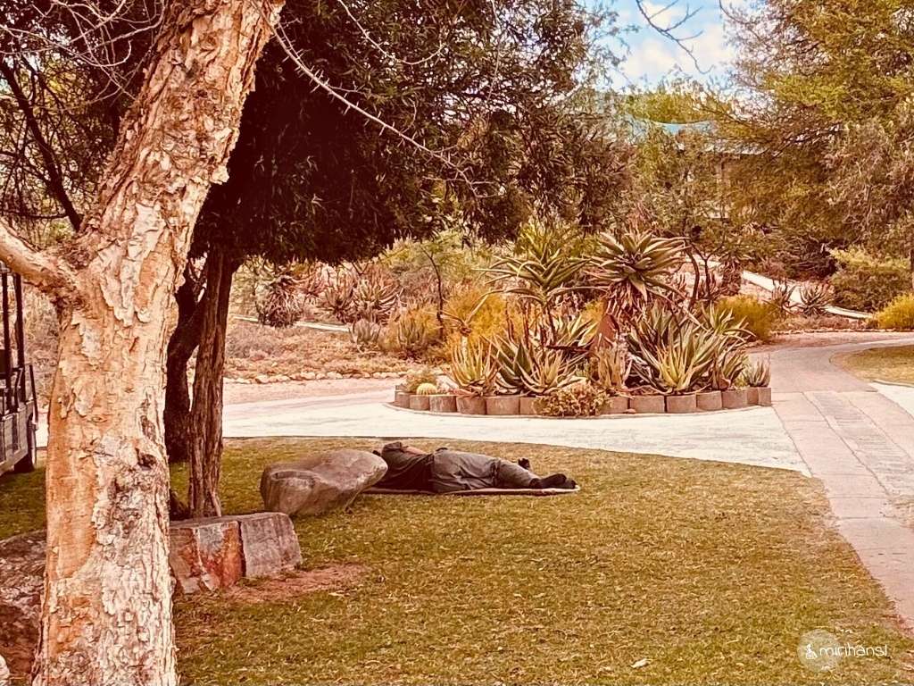 Südafrika - in der Buffelsdrift Game Lodge in Oudtshoorn - Mittagsschlaf mal anders Südafrika - in der Buffelsdrift Game Lodge in Oudtshoorn - Mittagsschlaf mal anders