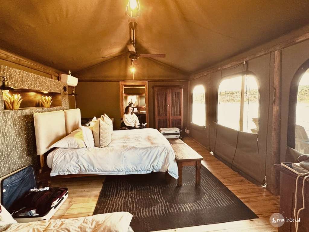 Südafrika - in der Buffelsdrift Game Lodge in Oudtshoorn - Unser Zelt Südafrika - in der Buffelsdrift Game Lodge in Oudtshoorn - Unser Zelt