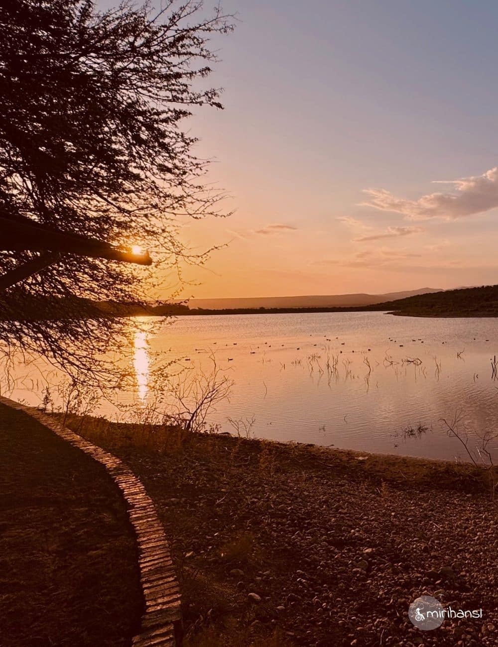 Titelbild Blogbeitrag Oudtshoorn